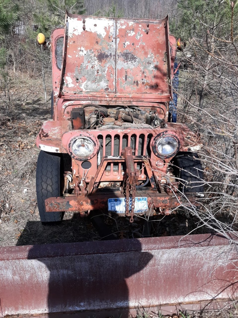 20190425_094439.jpg