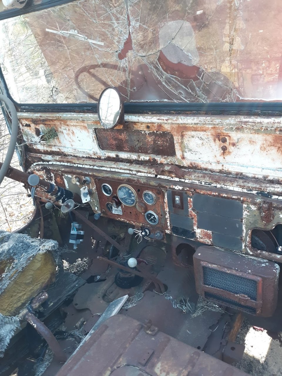20190425_094512.jpg