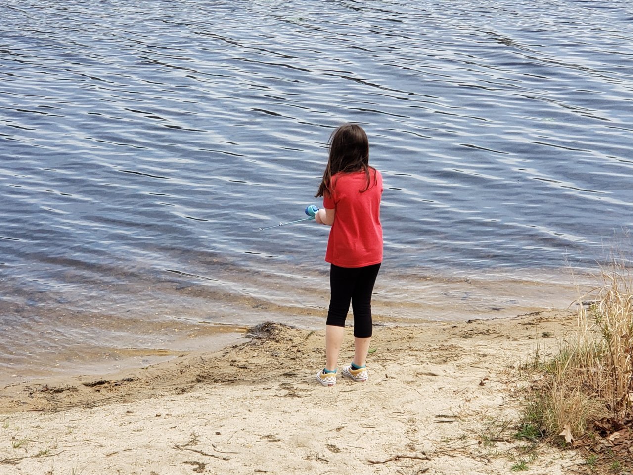 20190425_122630.jpg