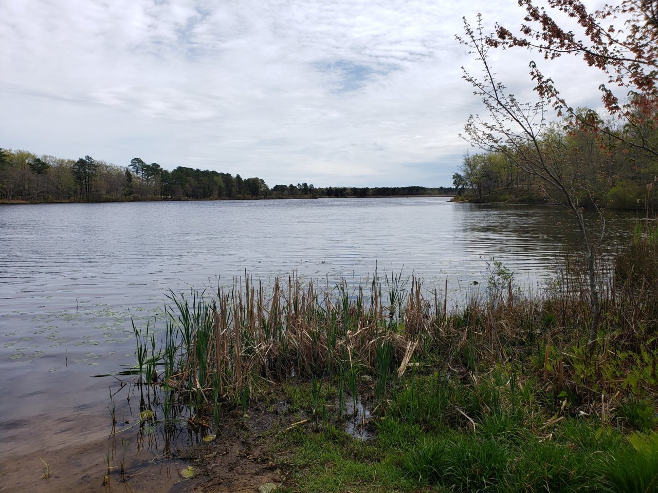 20190425_124758.jpg