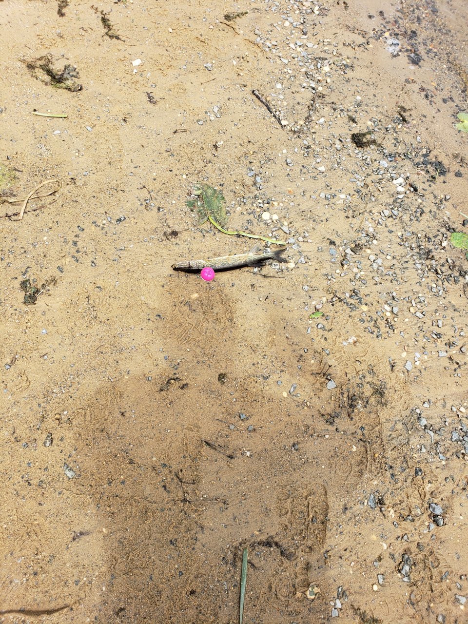 20190425_125639.jpg