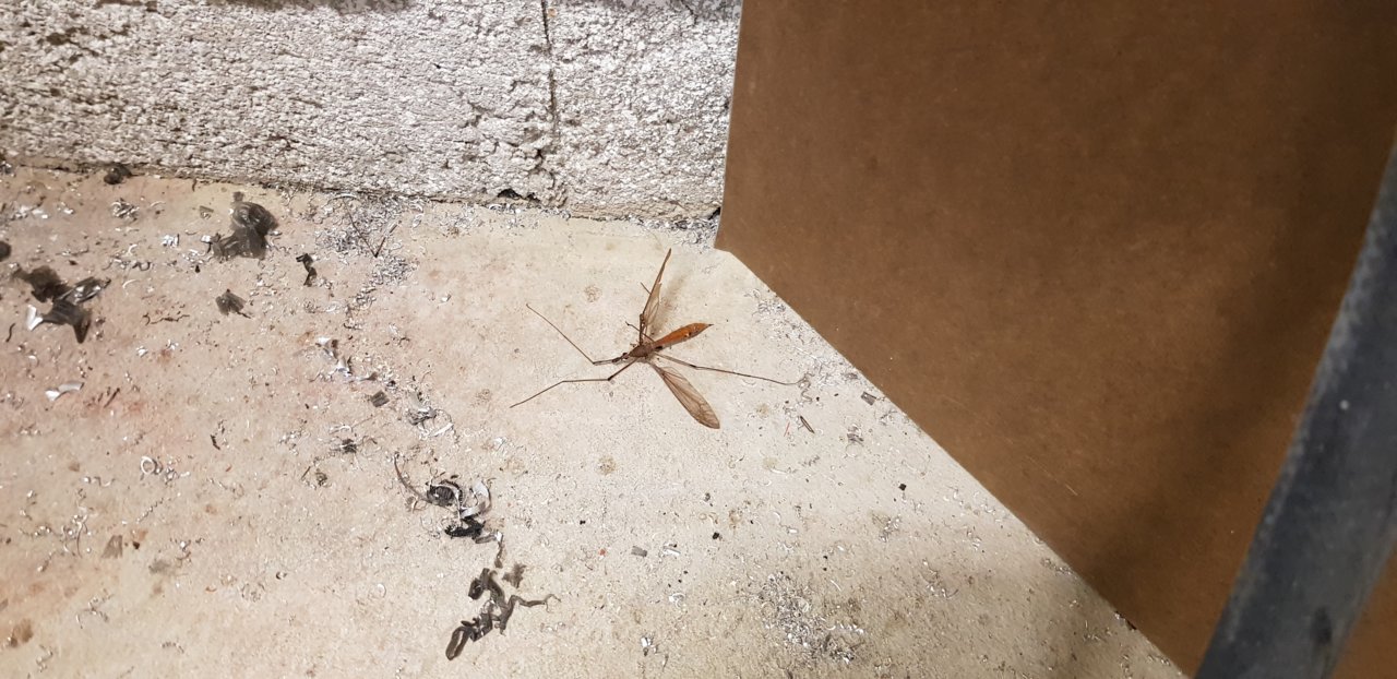 20190425_140744.jpg
