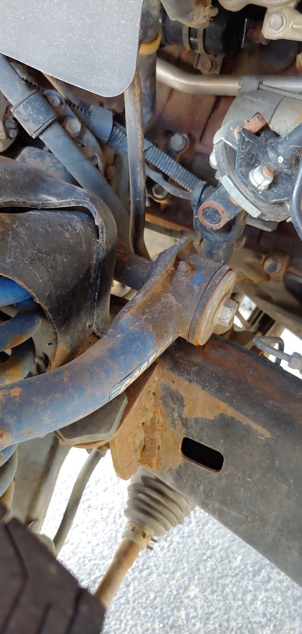 20190425_153542_HDR.jpg
