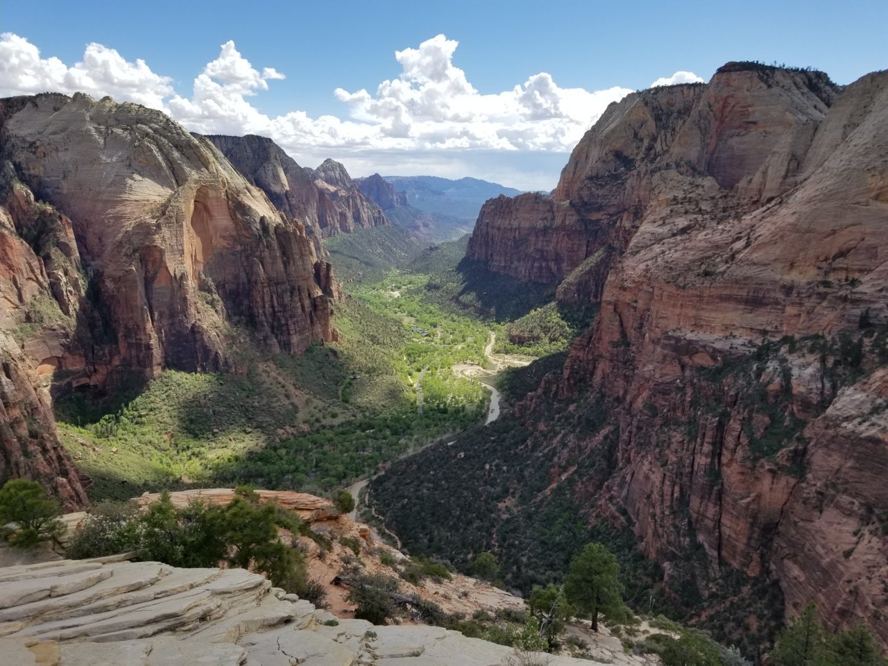 20190425_154101.jpg