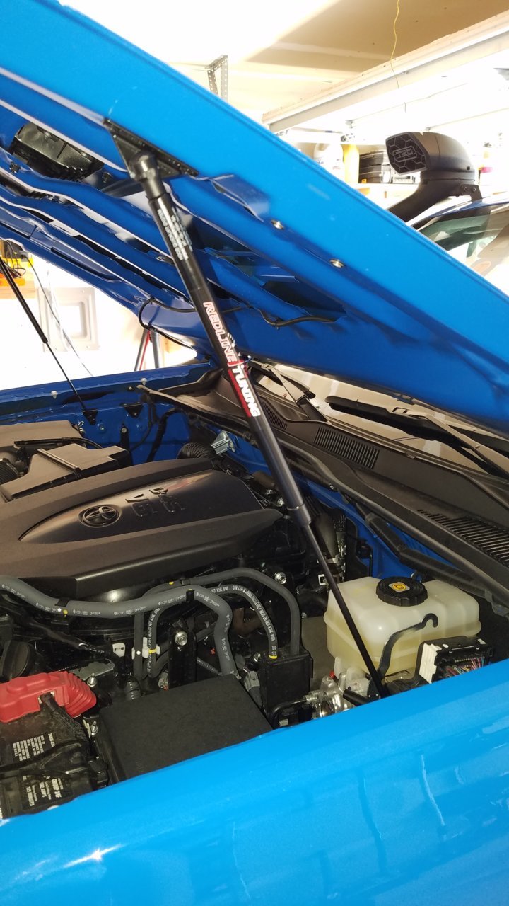20190426_100713.jpg