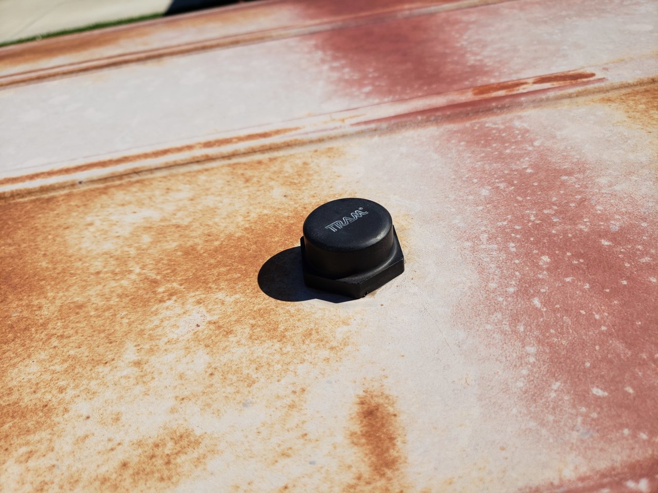 20190426_102243.jpg