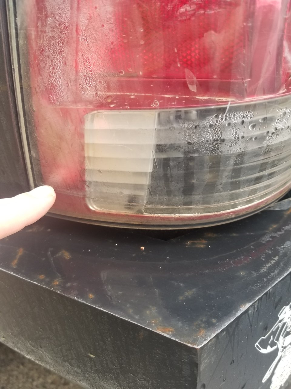 20190426_120332.jpg