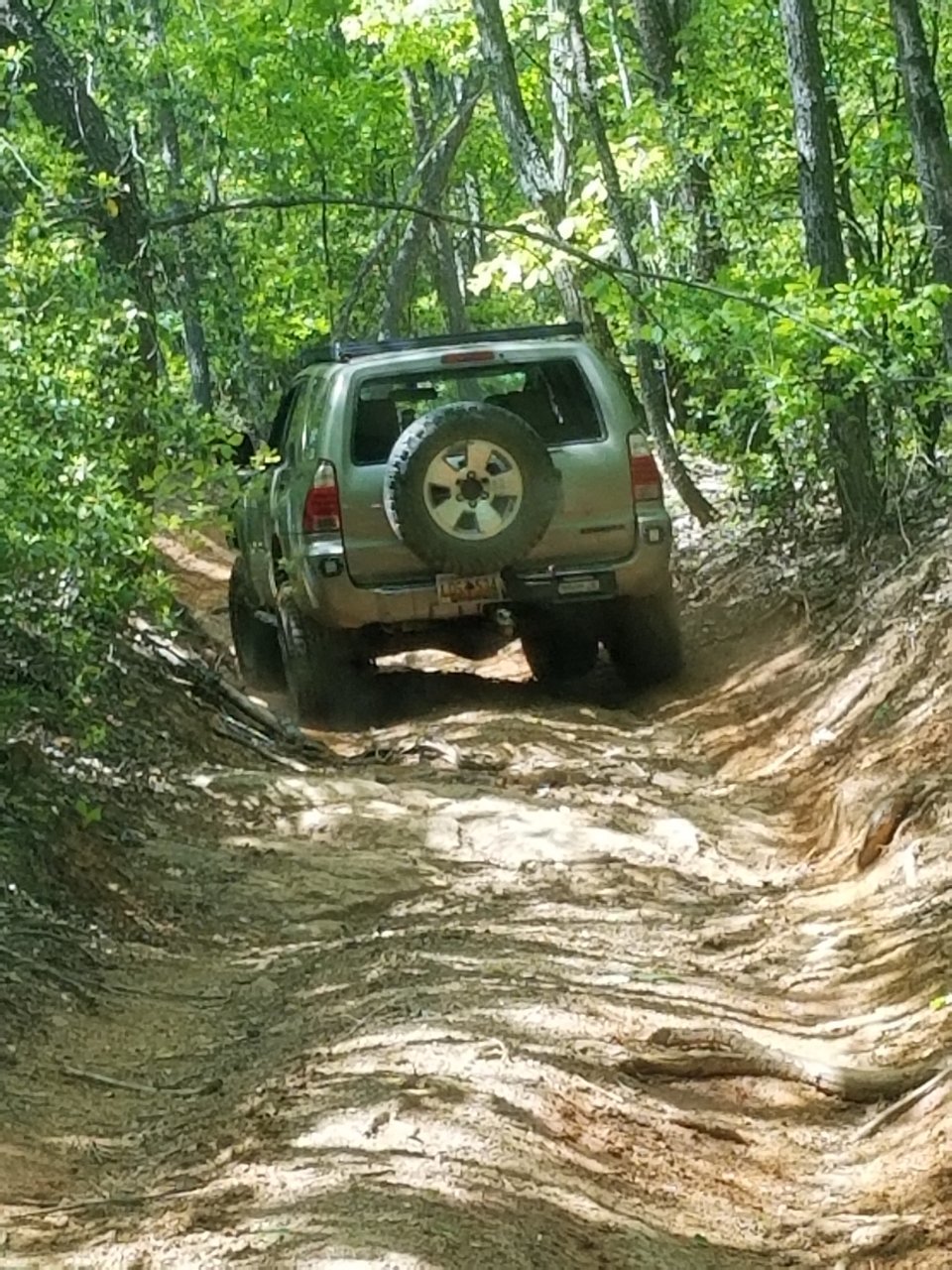 20190426_145445.jpg