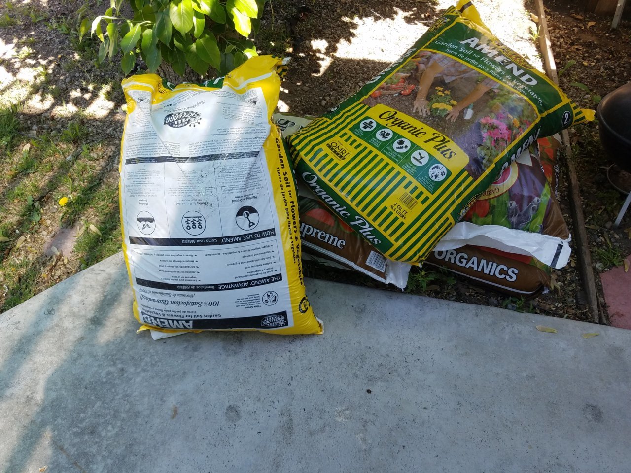 20190426_145537.jpg