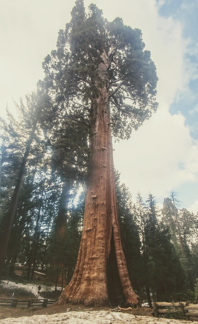 20190426_153109_HDR~2.jpg