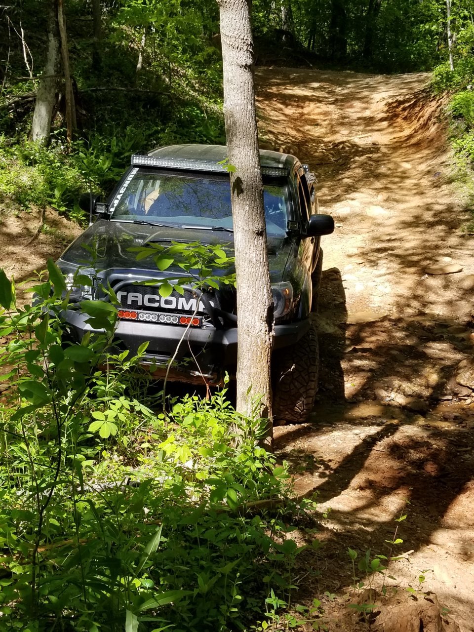 20190426_155050.jpg