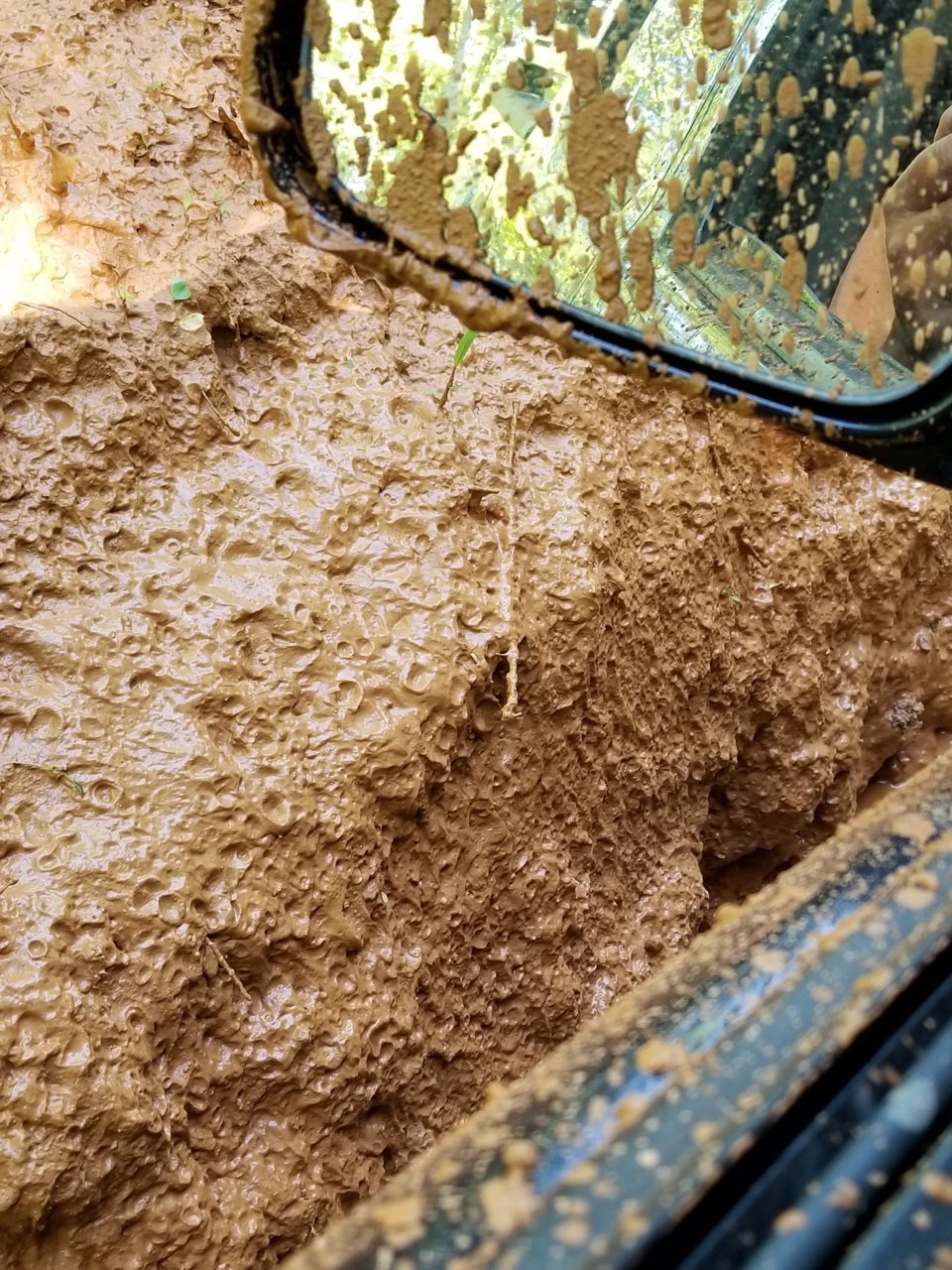 20190426_161233.jpg