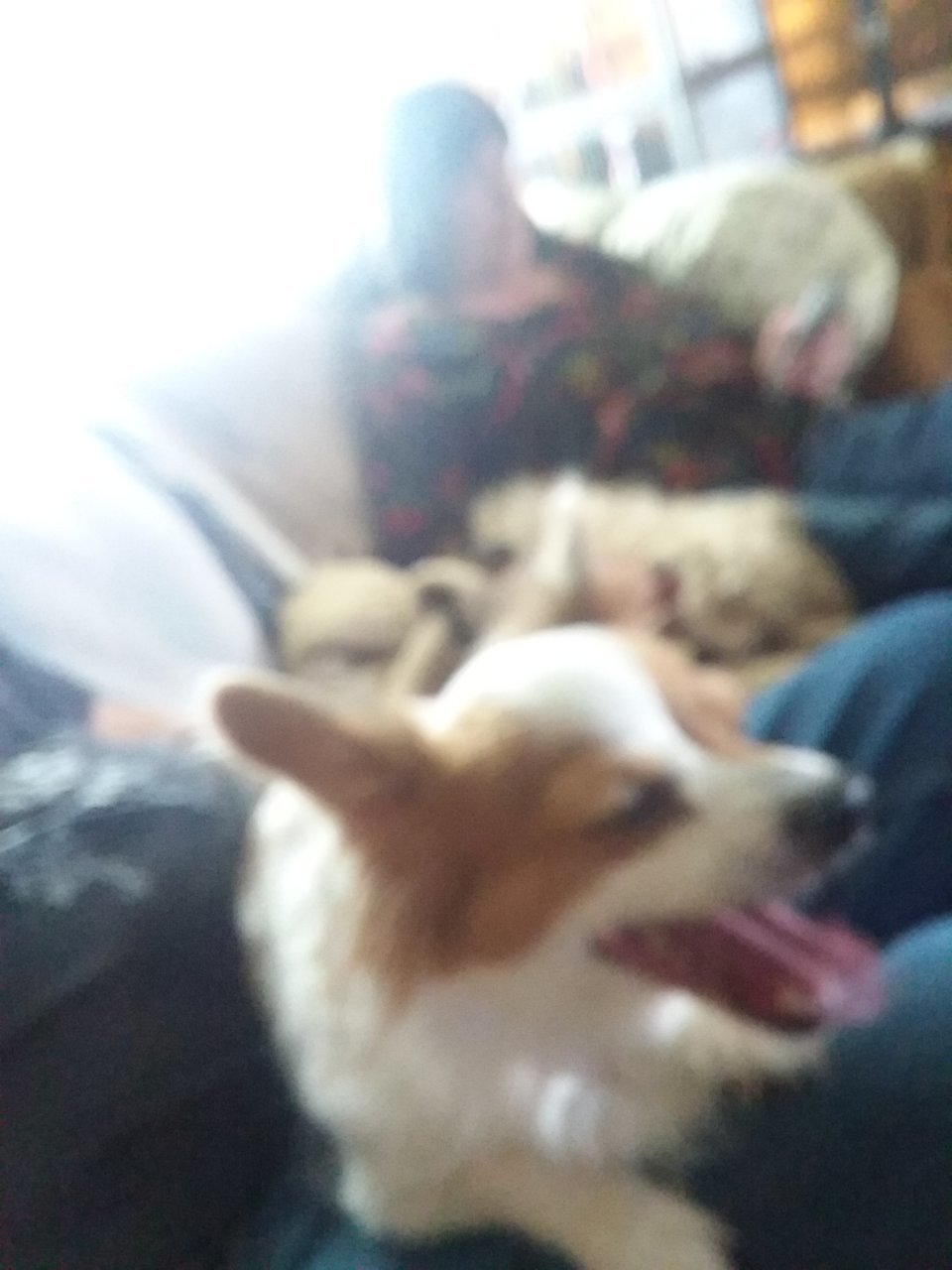 20190426_170938.jpg