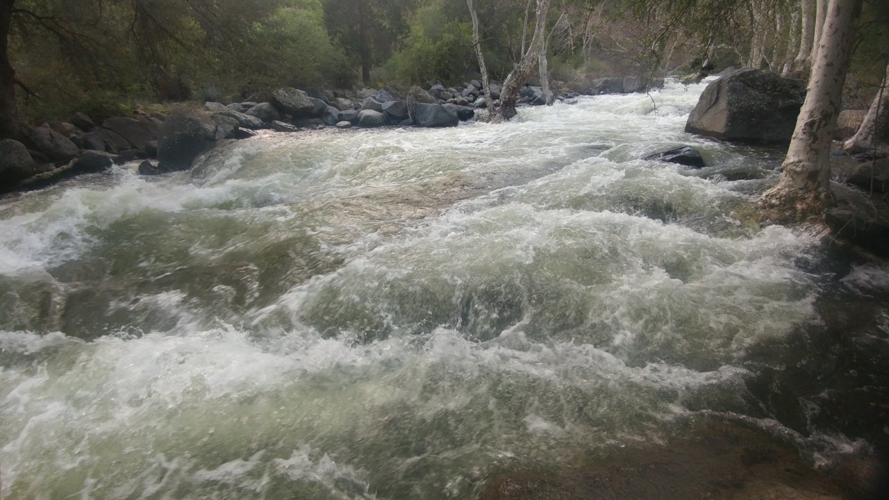 20190426_172310.jpg