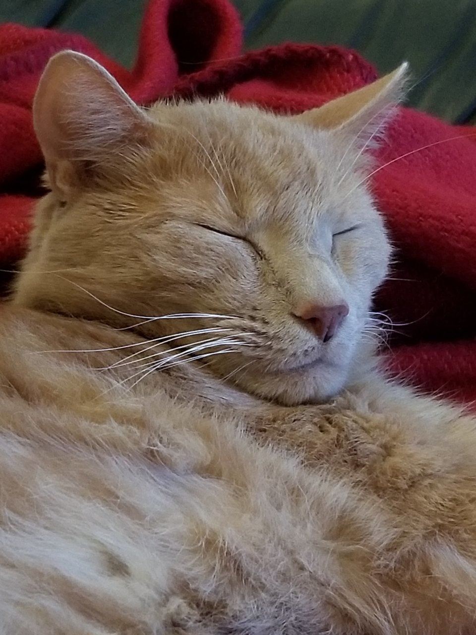 20190426_194442.jpg