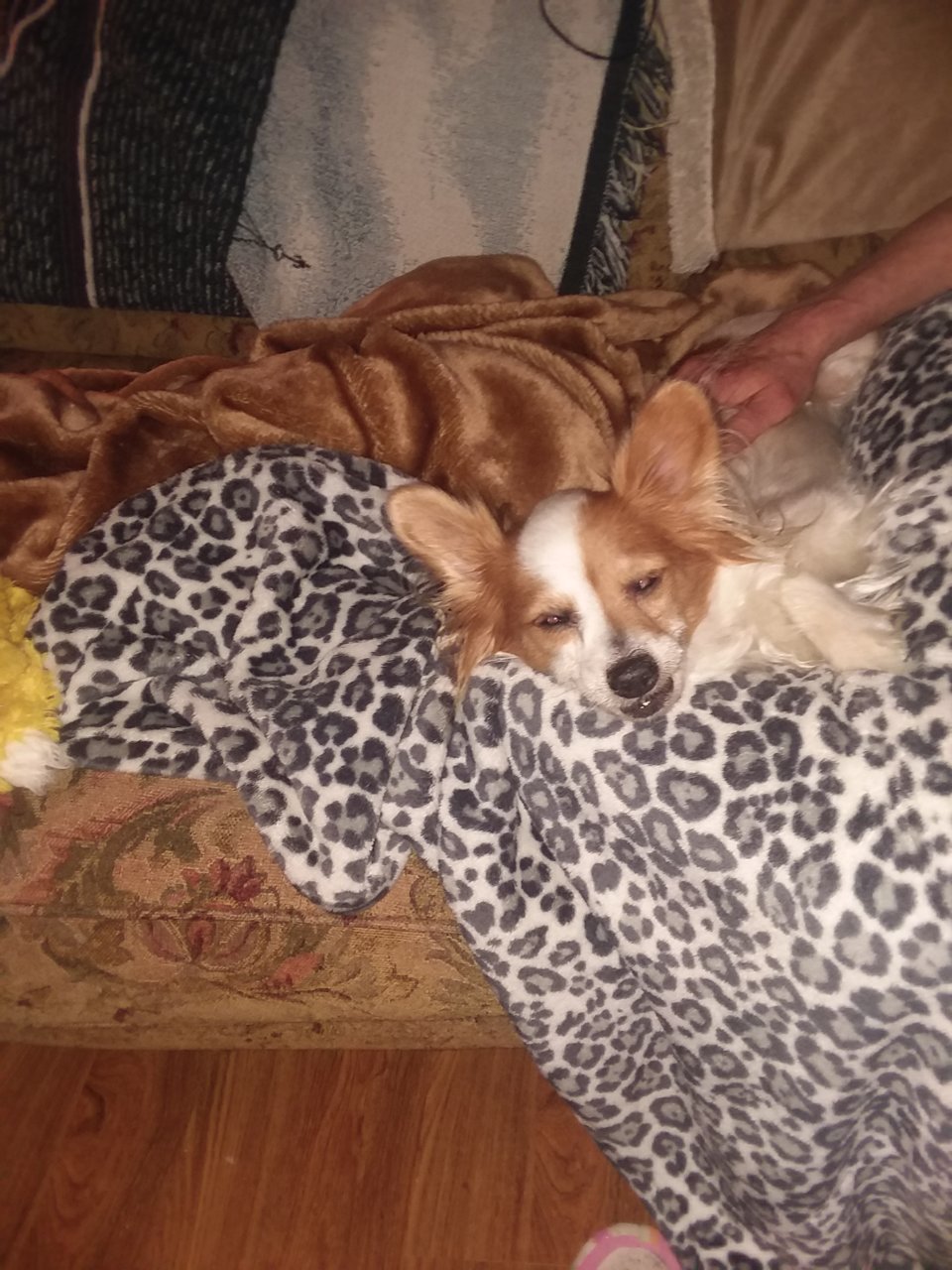20190426_210504.jpg