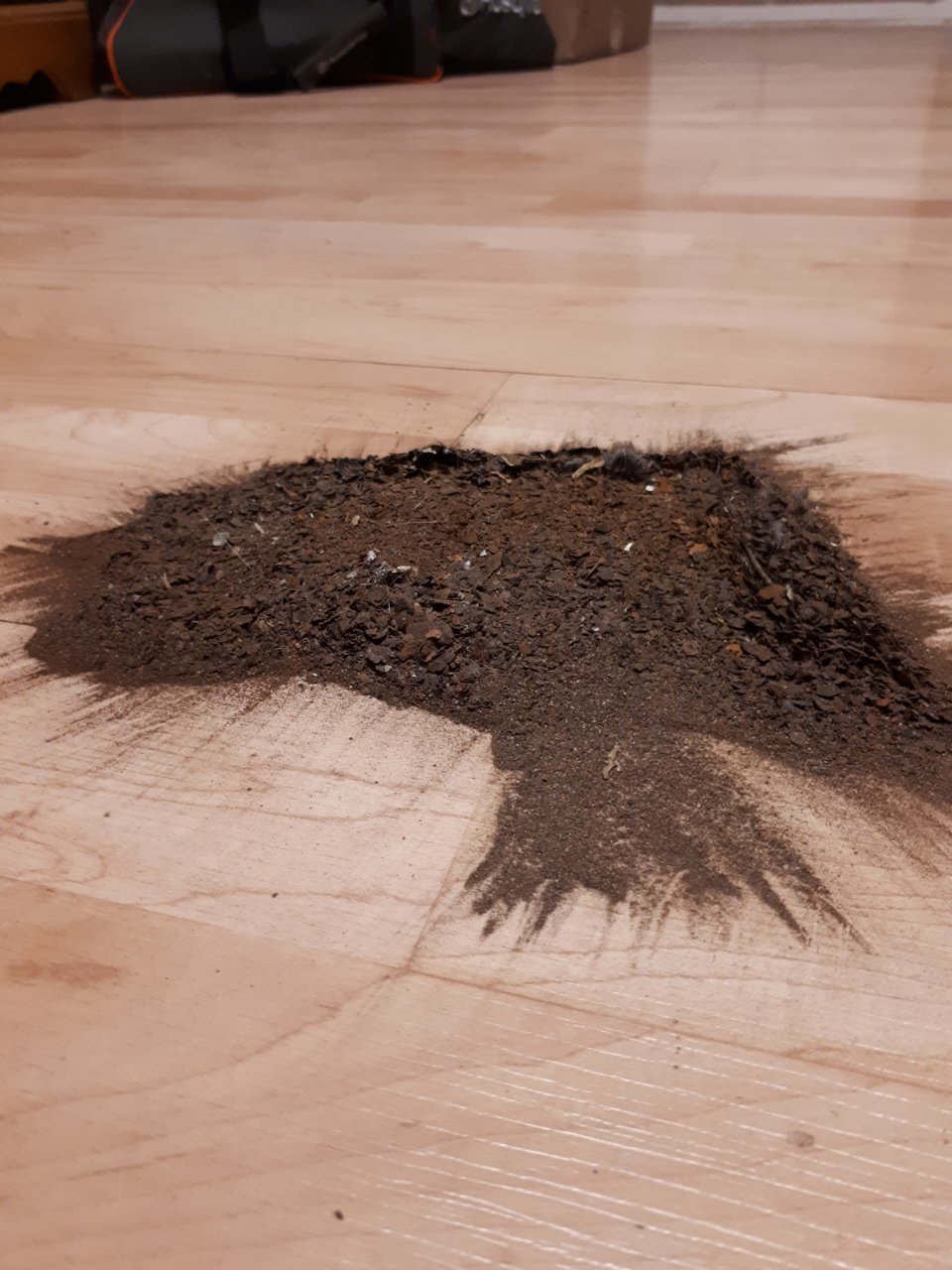 20190426_223339.jpg