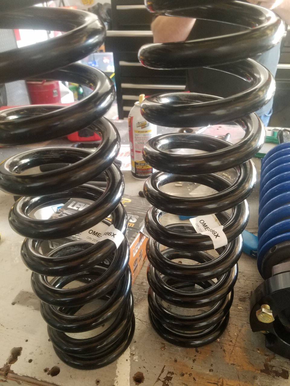 20190427_102630.jpg