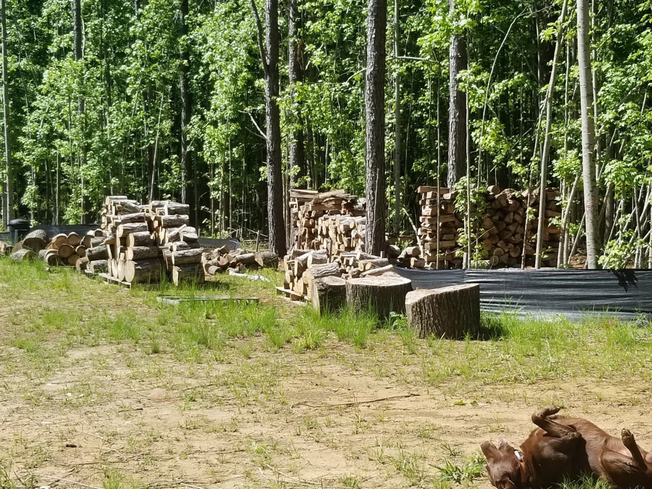 20190427_110651.jpg
