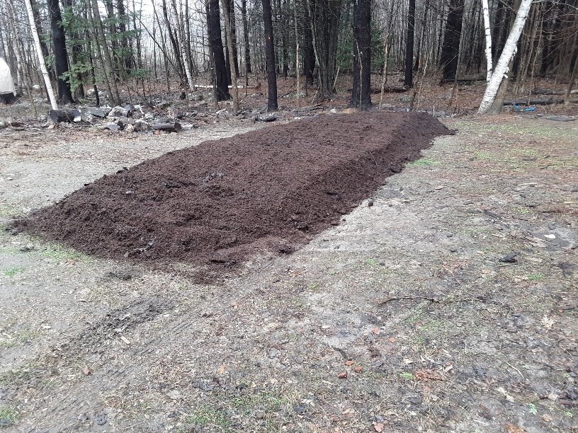 20190427_121525_resized_1.jpg