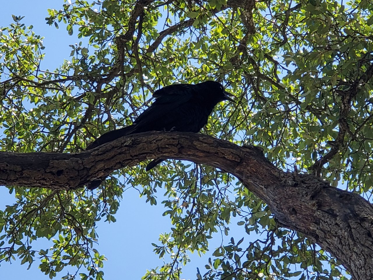 20190427_130726.jpg