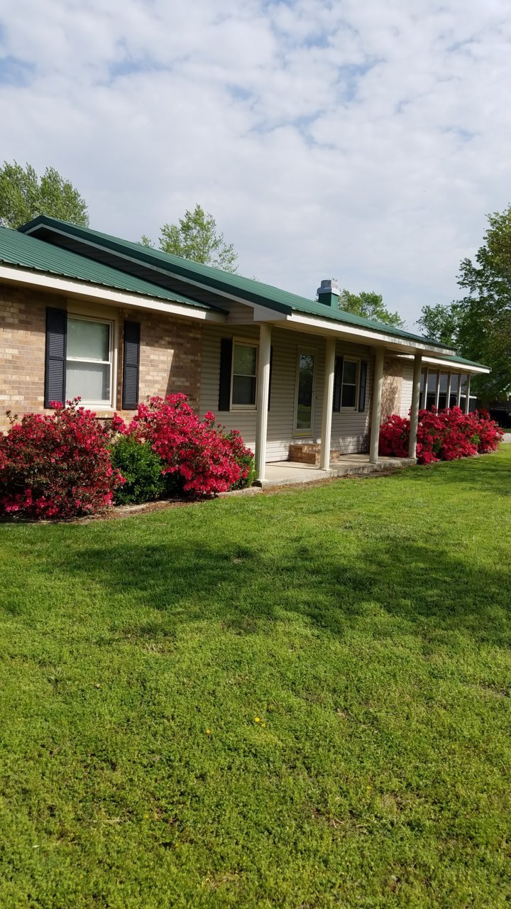 20190427_154848.jpg