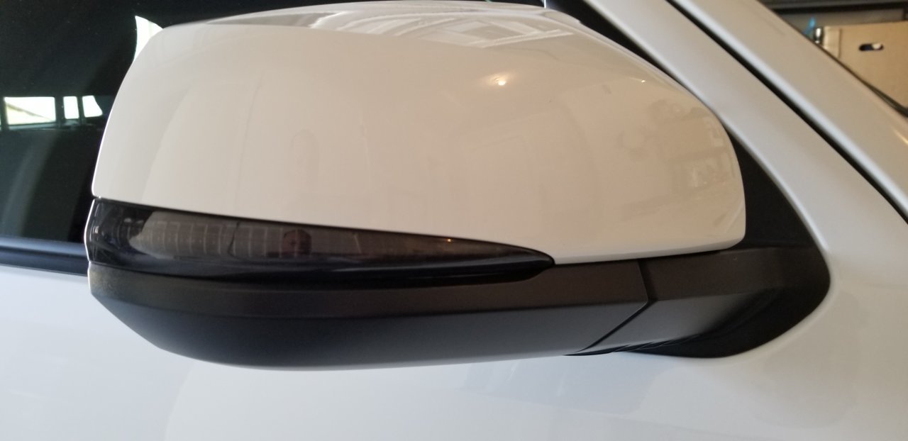 20190427_160904.jpg
