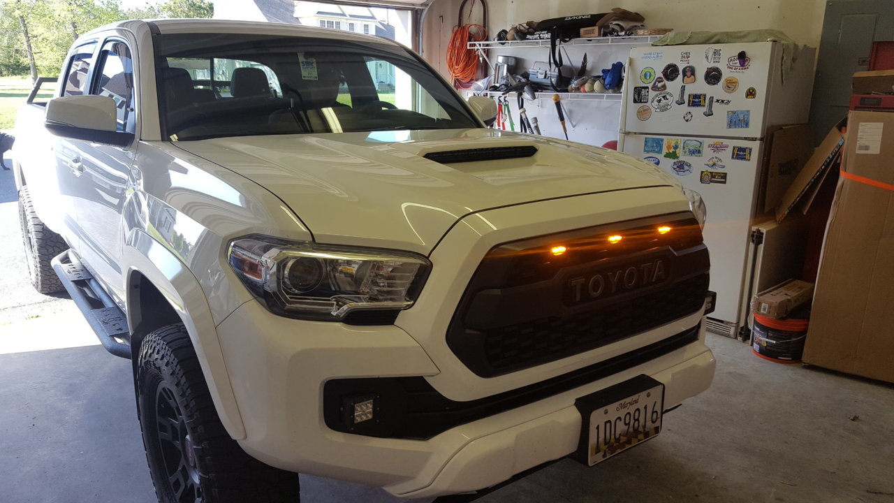 20190427_170324.jpg