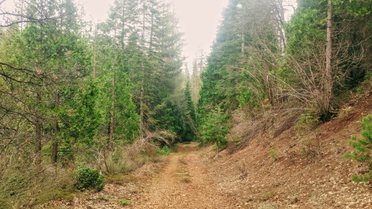 20190427_173047~2.jpg
