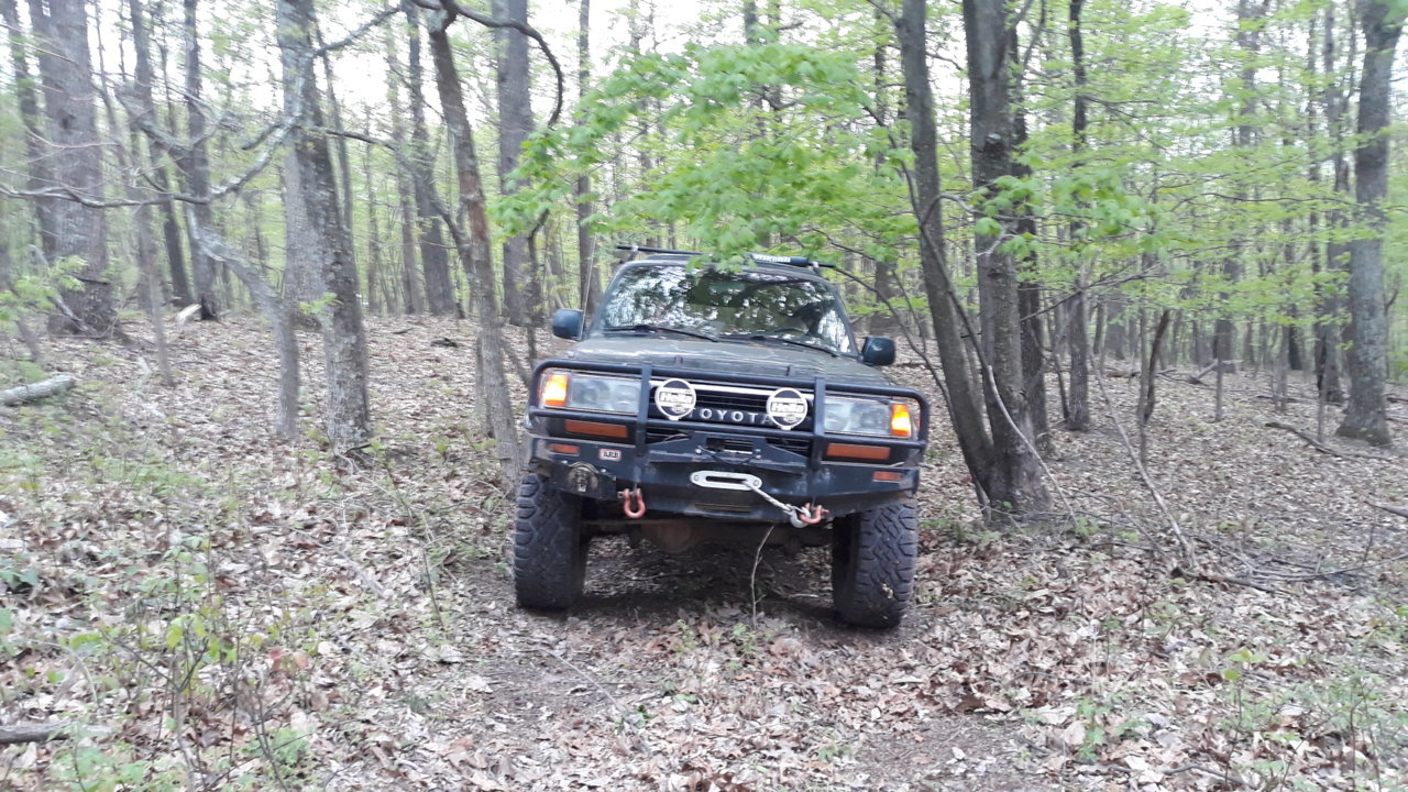 20190427_192208.jpg