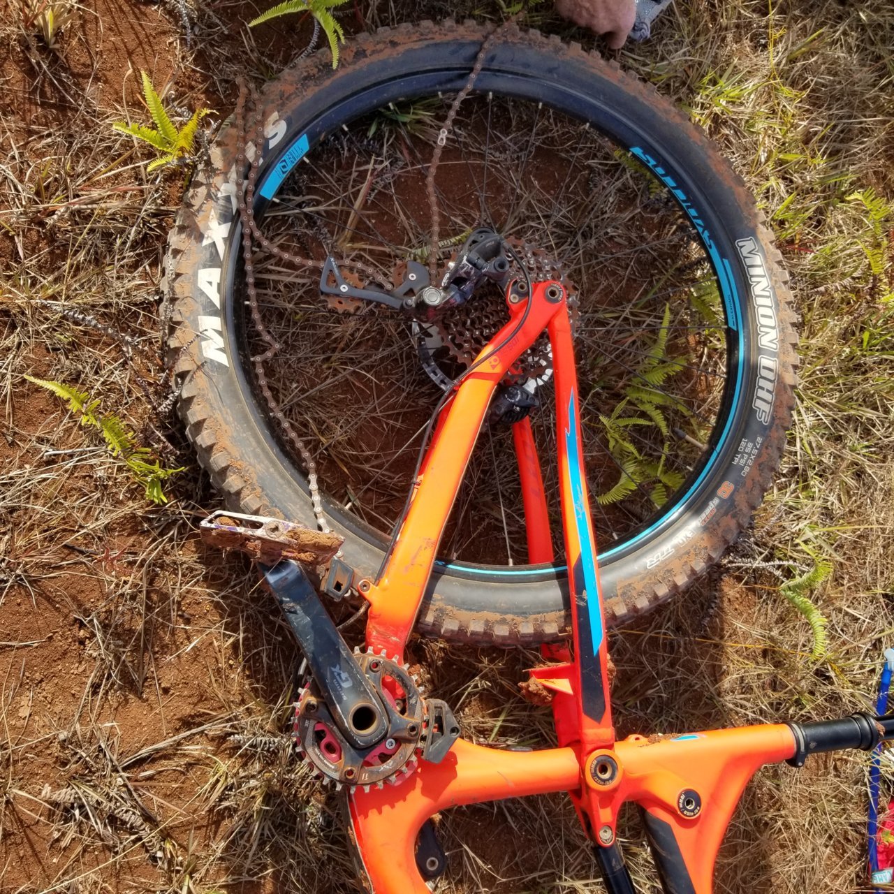 20190428_080831.jpg