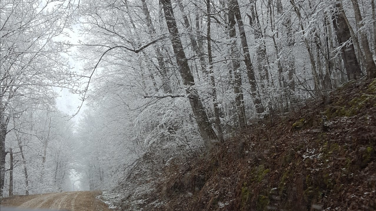 20190428_093619.jpg