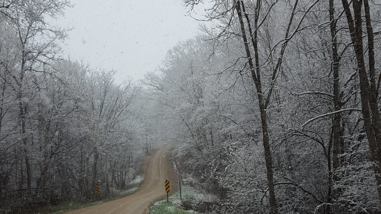 20190428_093921.jpg