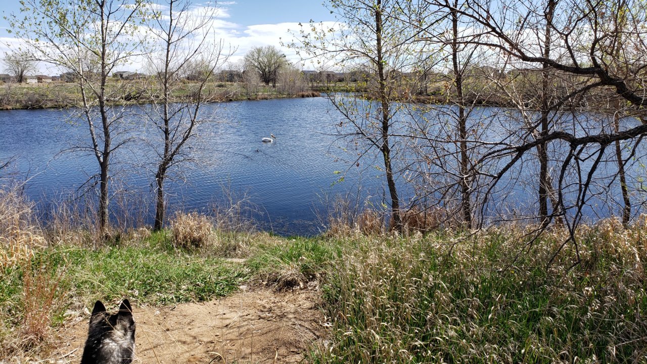 20190428_105502.jpg