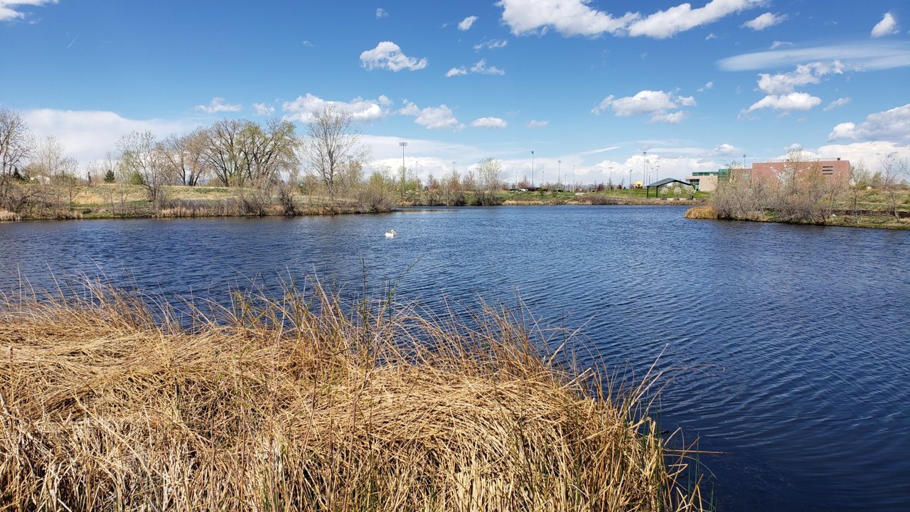 20190428_105810.jpg