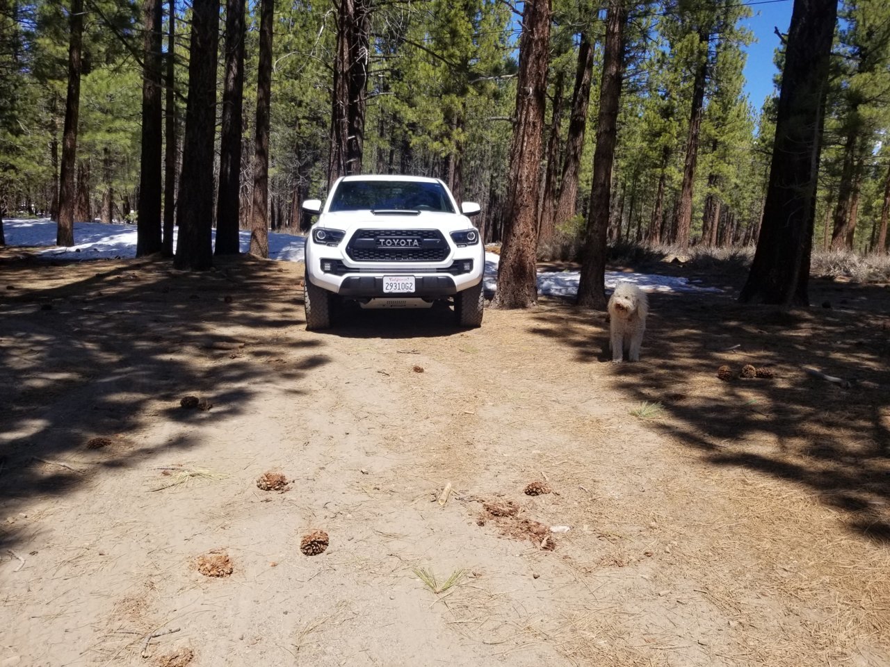 20190428_114516.jpg