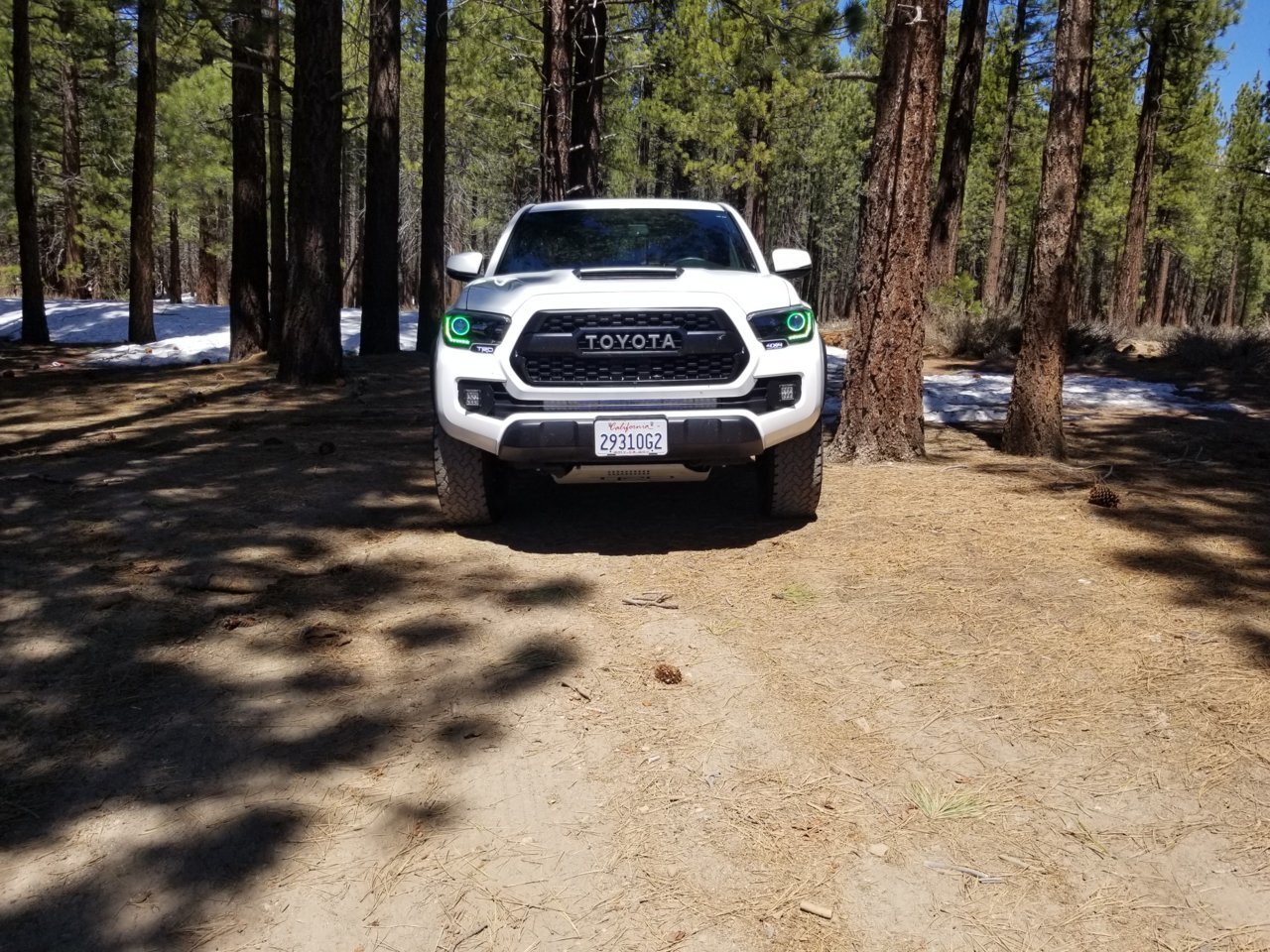 20190428_115536.jpg