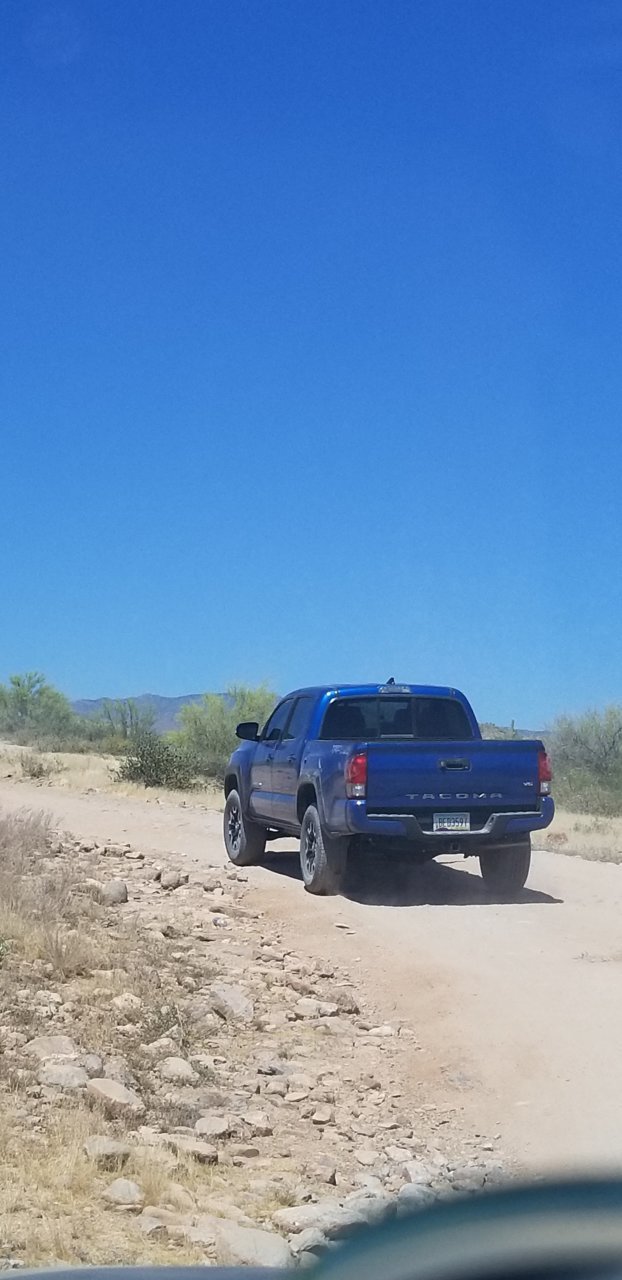 20190428_135654.jpg