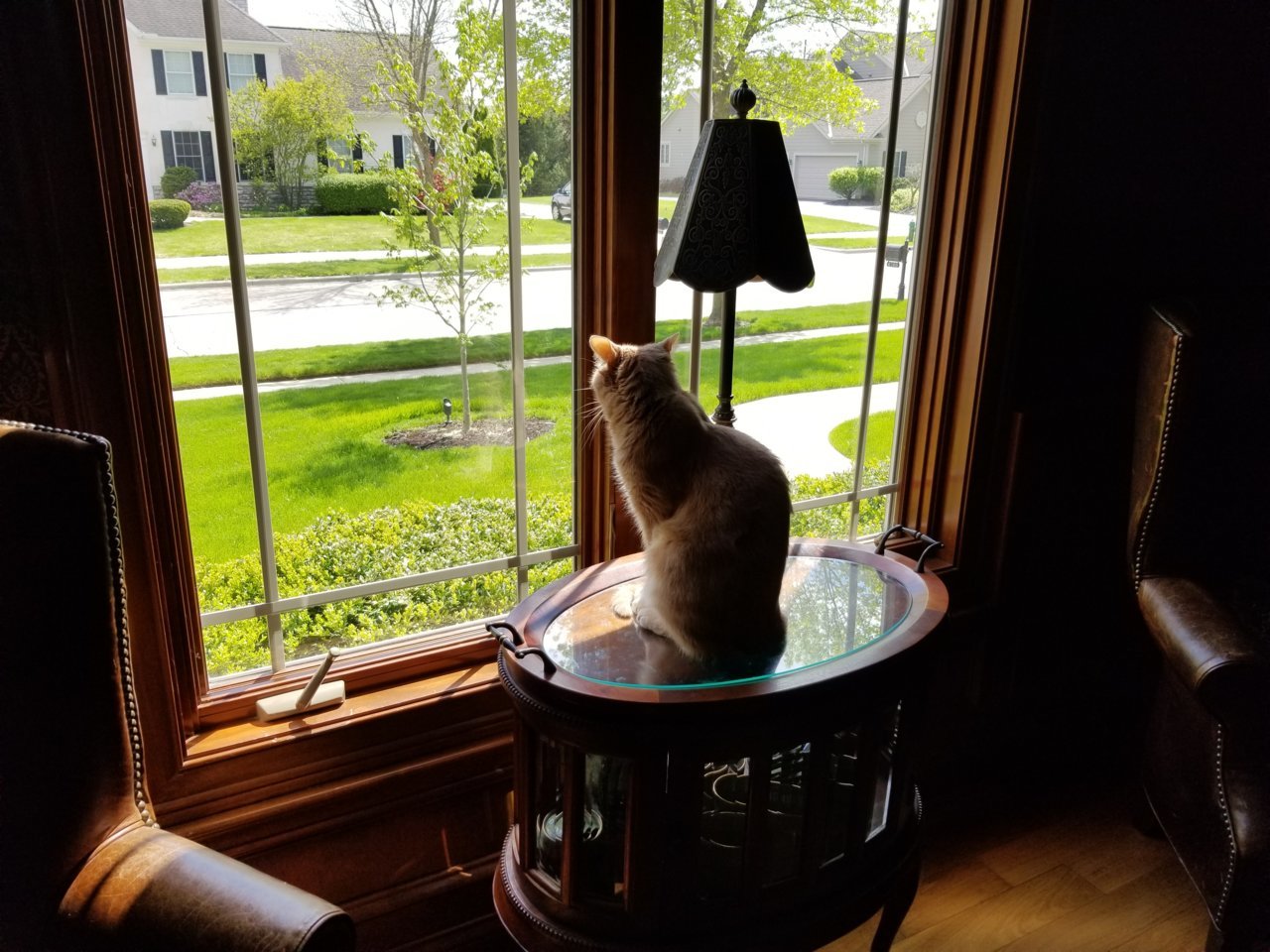 20190428_151218.jpg