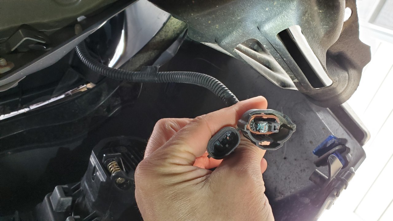 20190428_155729.jpg