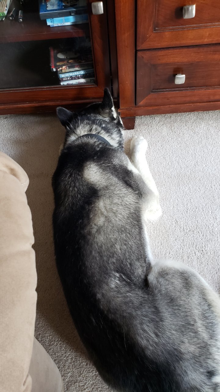20190428_173852.jpg