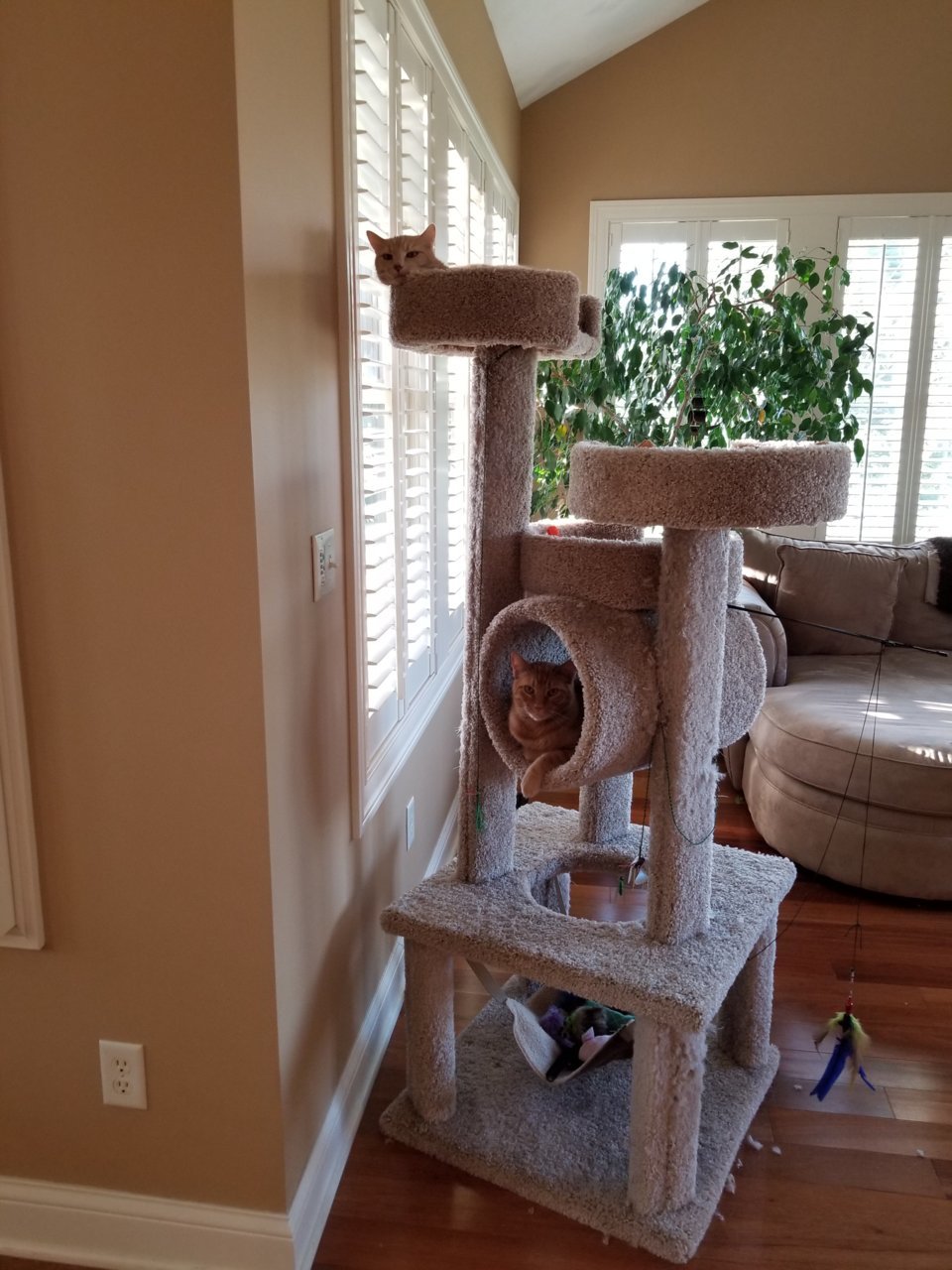 20190428_191553.jpg