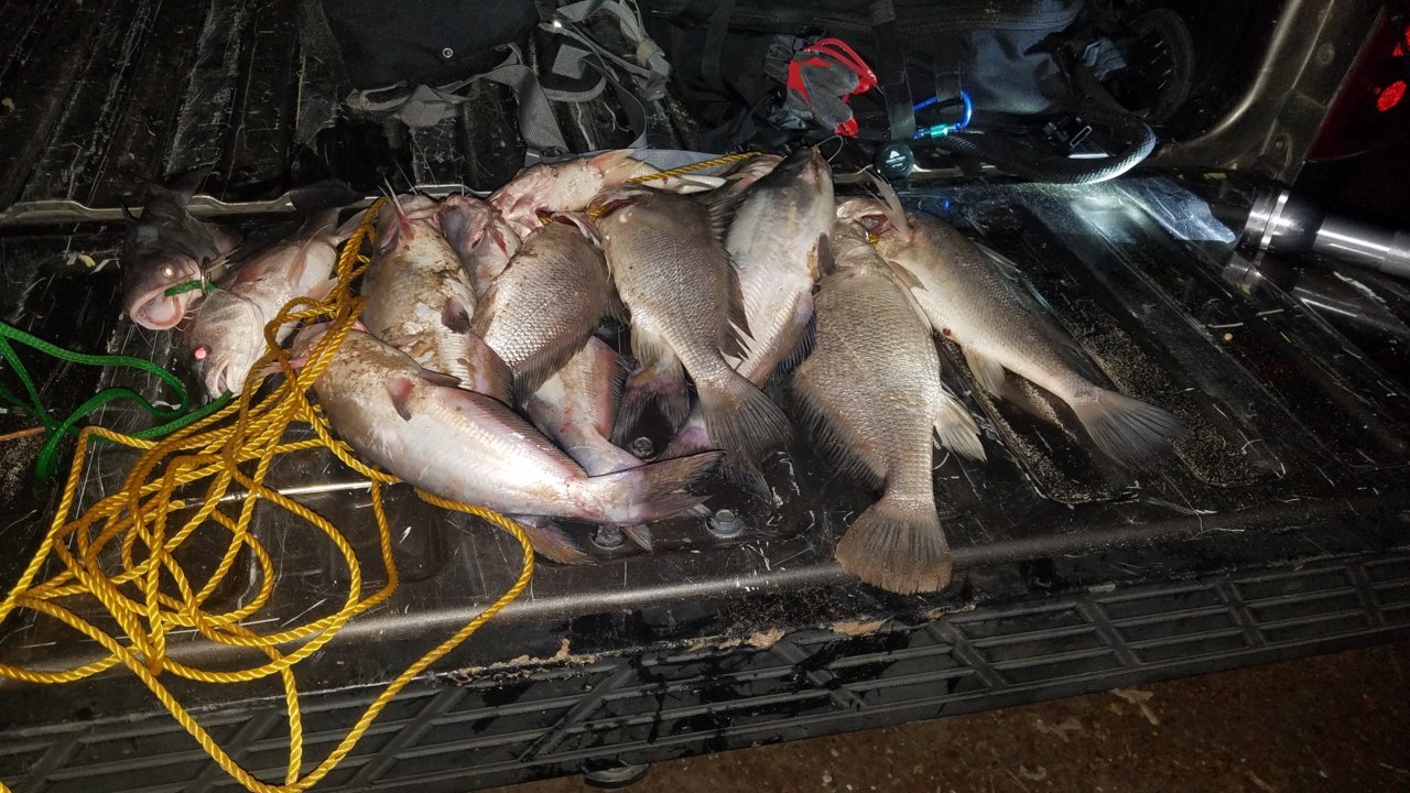 20190428_214610.jpg