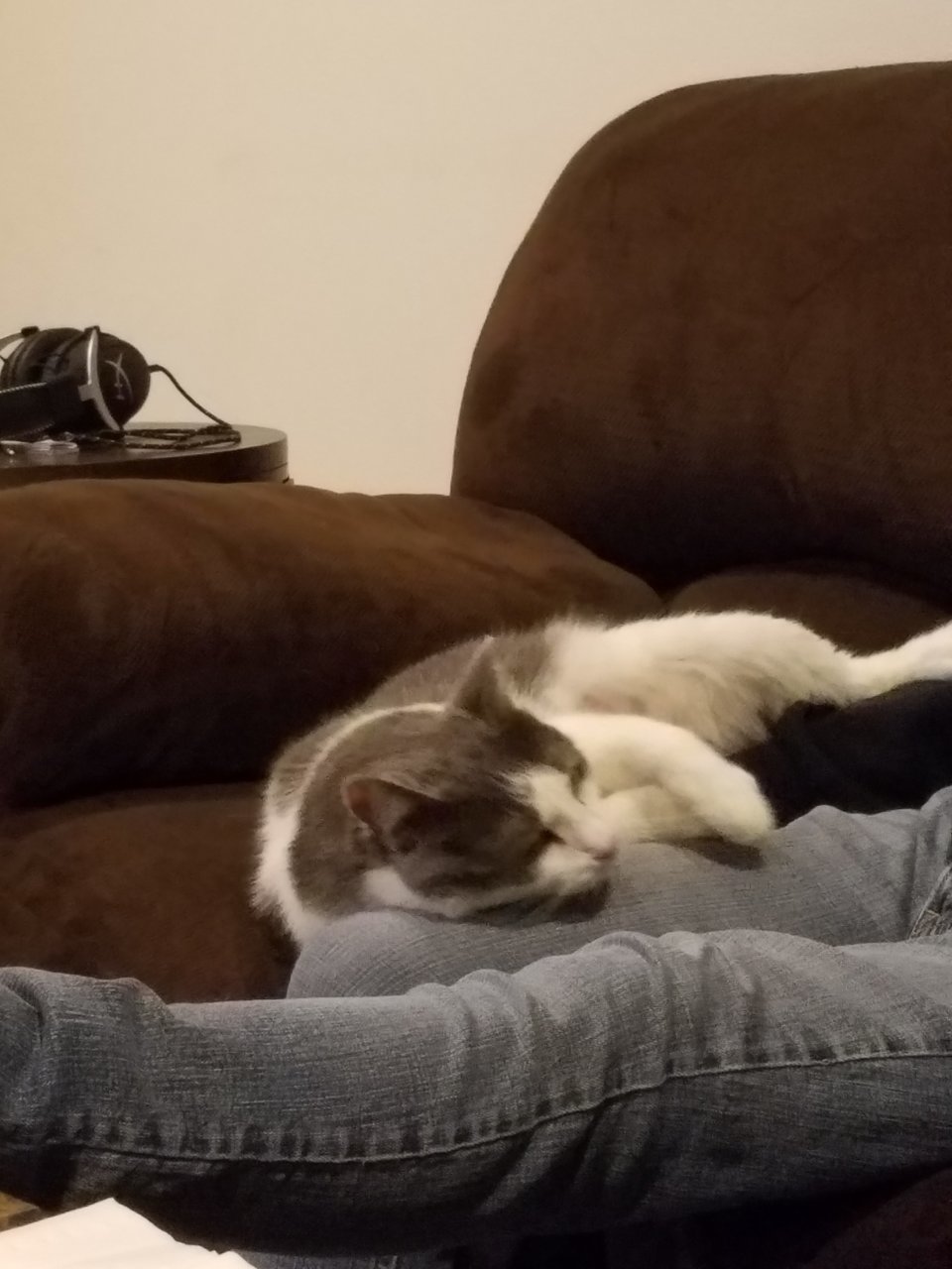 20190428_221751.jpg