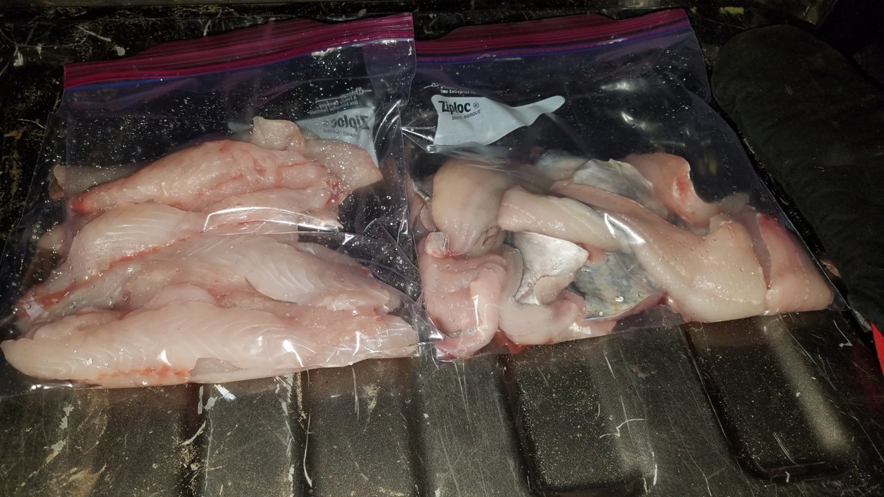 20190428_230831.jpg