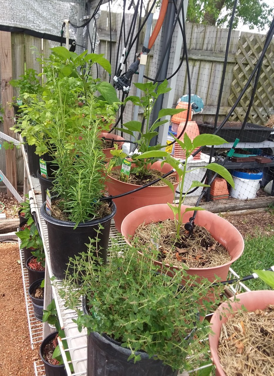 20190429_133553 1.jpg