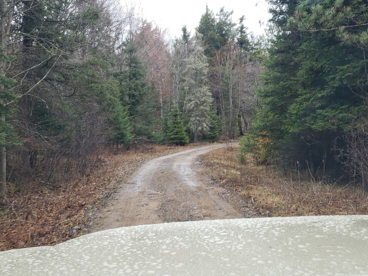 20190429_165118.jpg