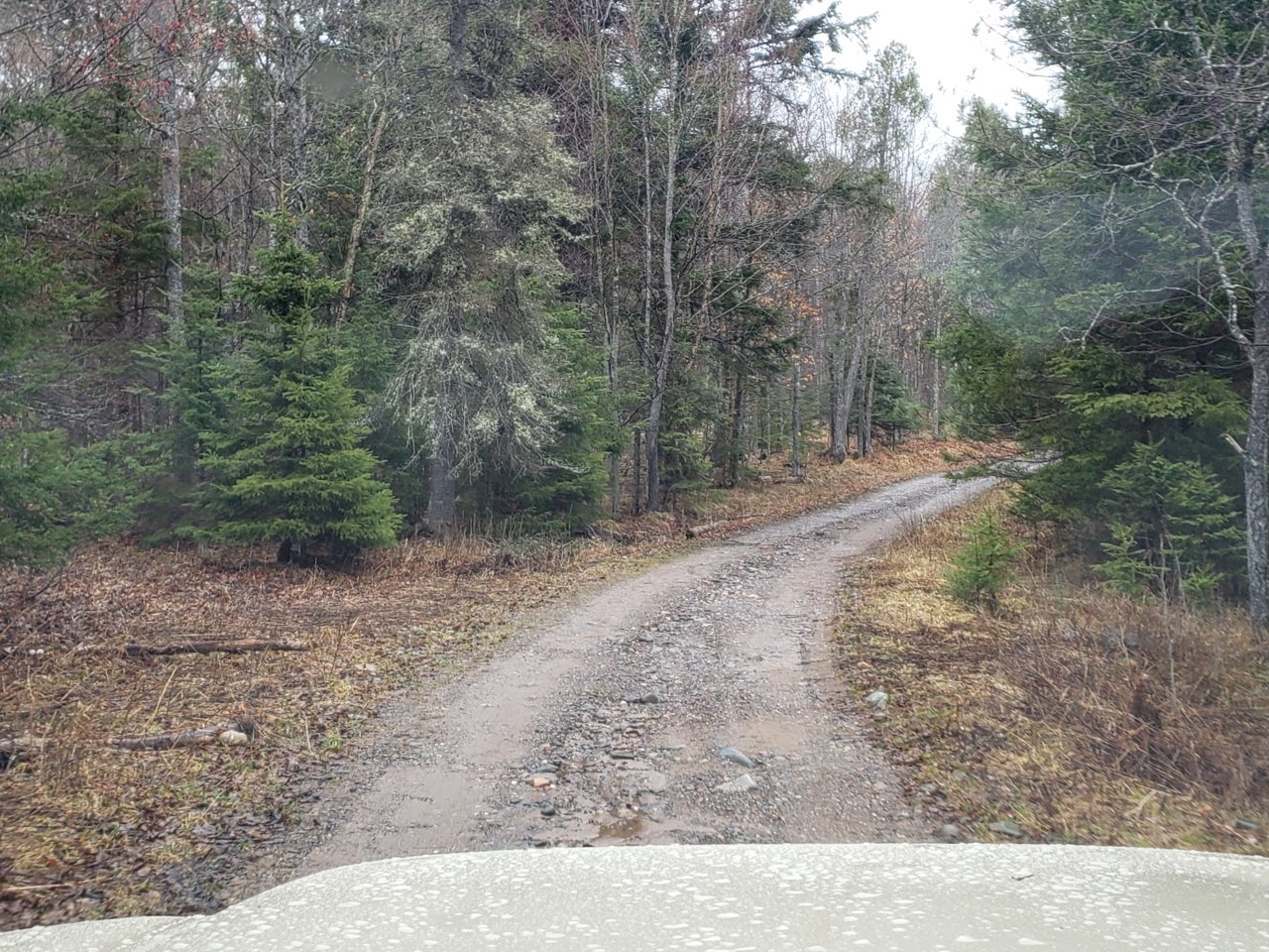 20190429_165125.jpg