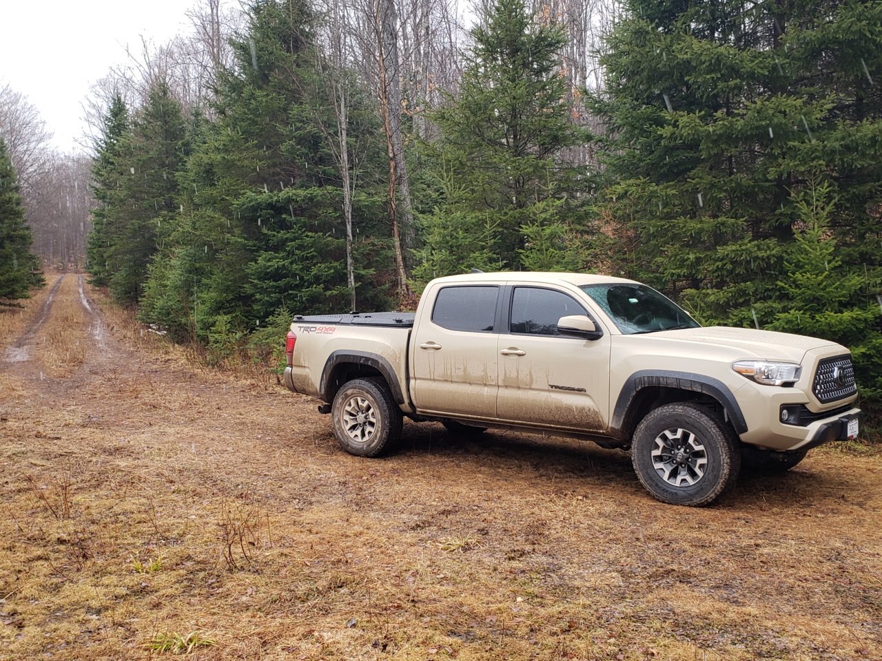 One Year Review - 2019 TRD Off Road | Tacoma World