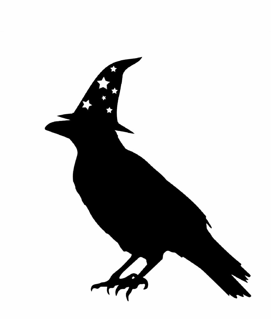 20190430_120215.jpg